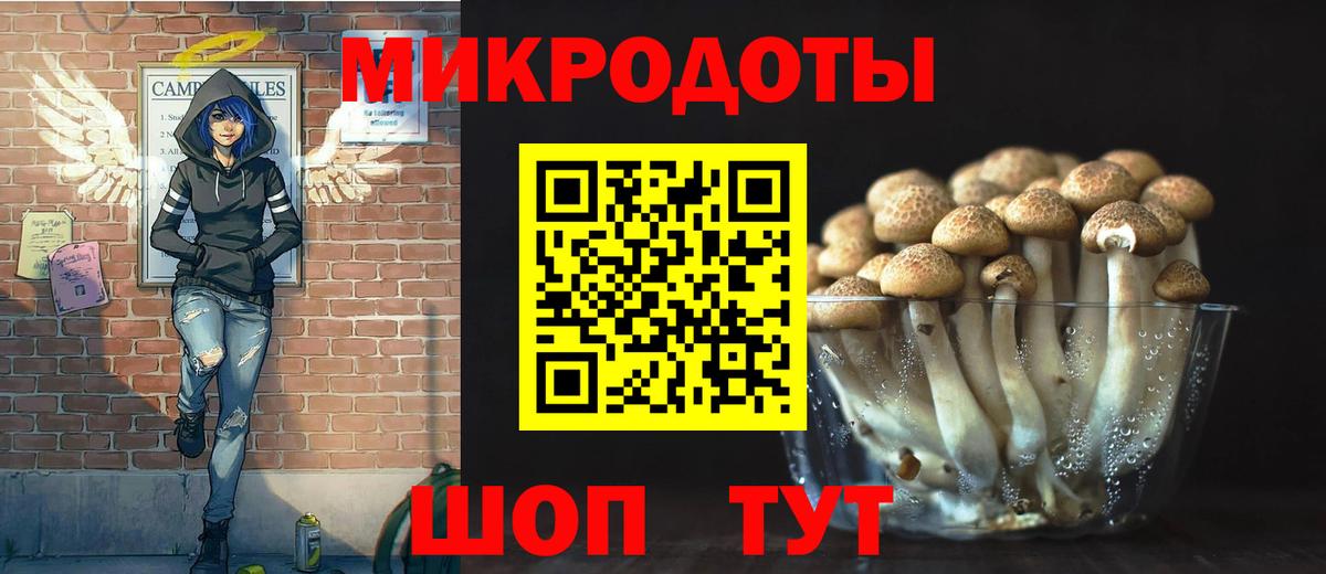 Псилоцибиновые грибы Cubensis  Вход с VPN  Батайск  Псилоцибиновые грибы Cubensis 