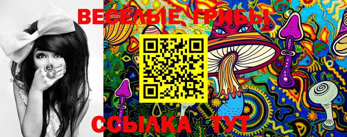 Псилоцибиновые грибы GOLDEN TEACHER Батайск